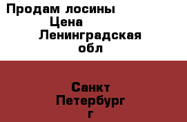 Продам лосины Bona Fide › Цена ­ 1 400 - Ленинградская обл., Санкт-Петербург г. Одежда, обувь и аксессуары » Женская одежда и обувь   . Ленинградская обл.